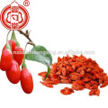 Ningxia frutos de goji secos frutas milagro fruta Lycii Ningxia gouqi